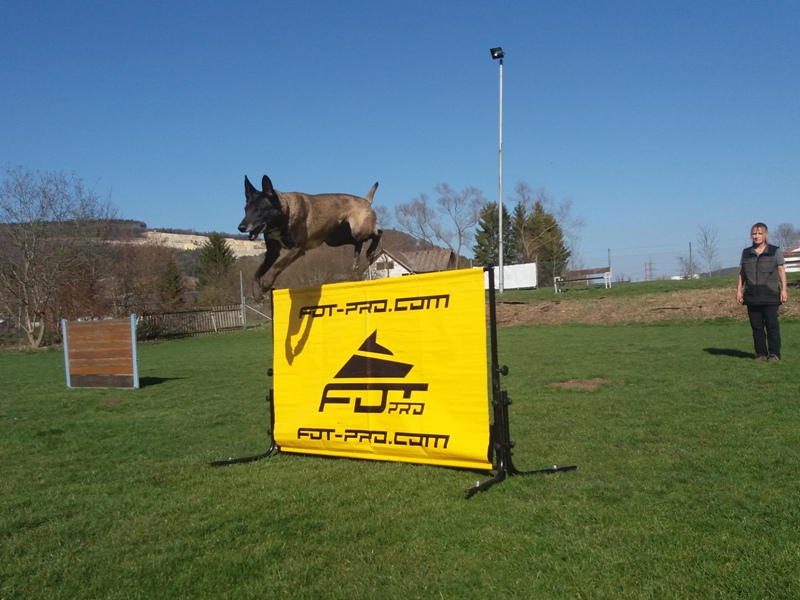 Agility Hurdle Jump for Dogs IGP Dog Training Equipment UK 156.81